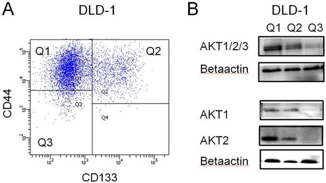 CD133 (Prominin-1) Antibody in Flow Cytometry (Flow)