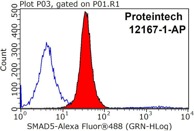 SMAD5 Antibody in Flow Cytometry (Flow)