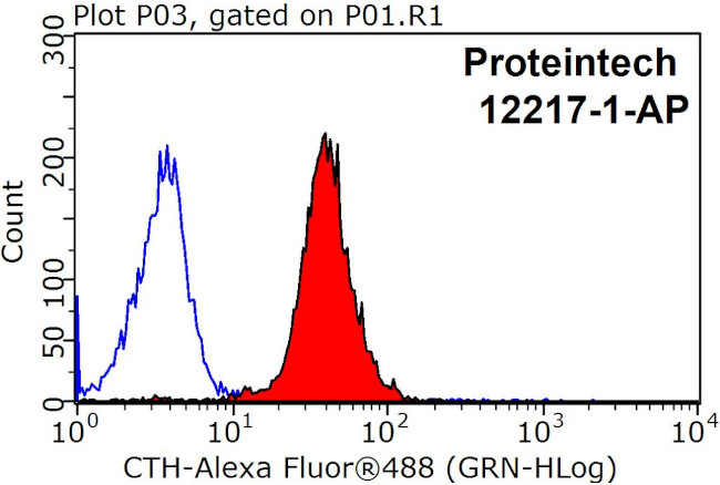 Gamma cystathionase Antibody in Flow Cytometry (Flow)