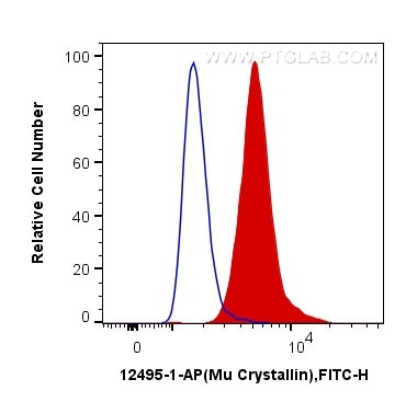 mu Crystallin Antibody in Flow Cytometry (Flow)