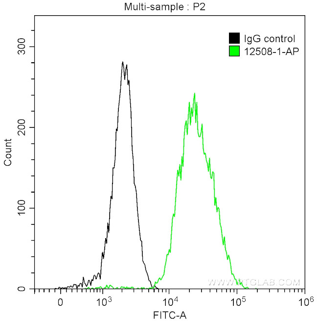 MAGEA4 Antibody in Flow Cytometry (Flow)