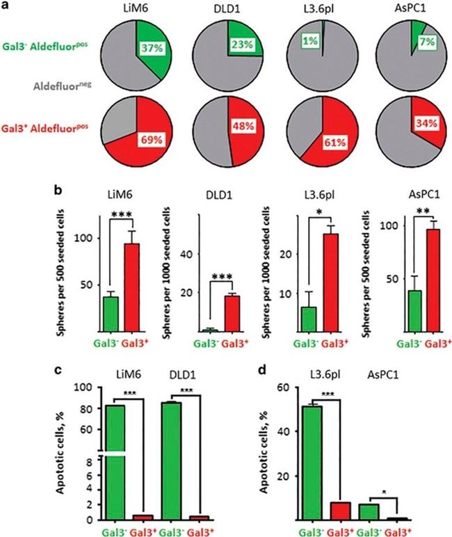 Galectin 3 Antibody in Flow Cytometry (Flow)