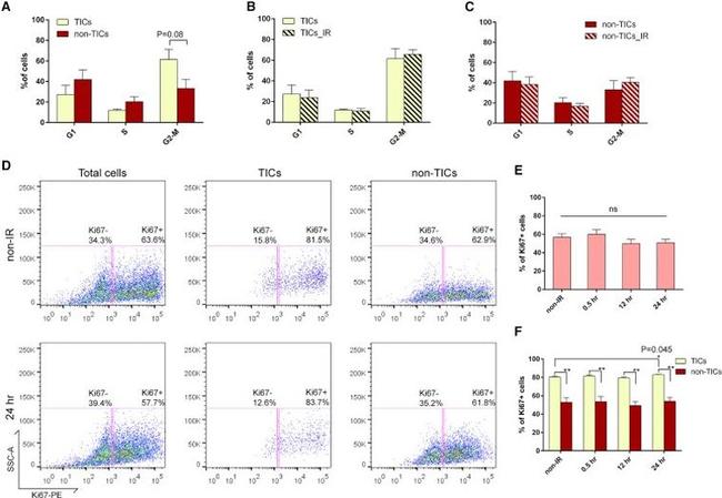 Ki-67 Antibody in Flow Cytometry (Flow)