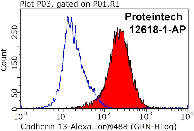 Cadherin-13 Antibody in Flow Cytometry (Flow)