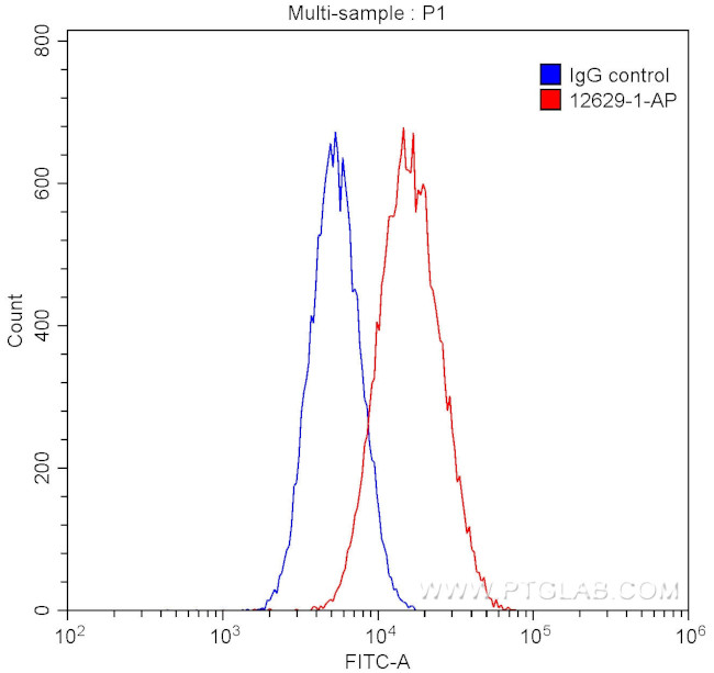 Calmegin Antibody in Flow Cytometry (Flow)