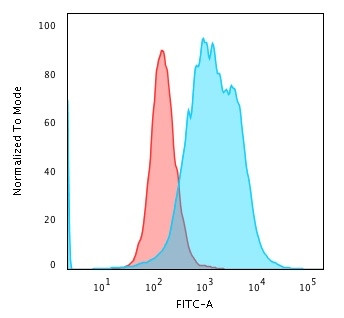 Calponin-1 Antibody in Flow Cytometry (Flow)