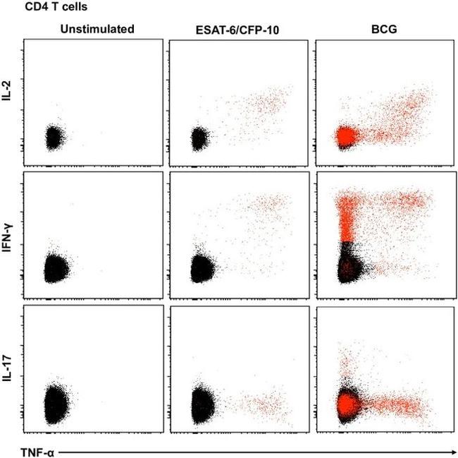 IL-17A Antibody in Flow Cytometry (Flow)