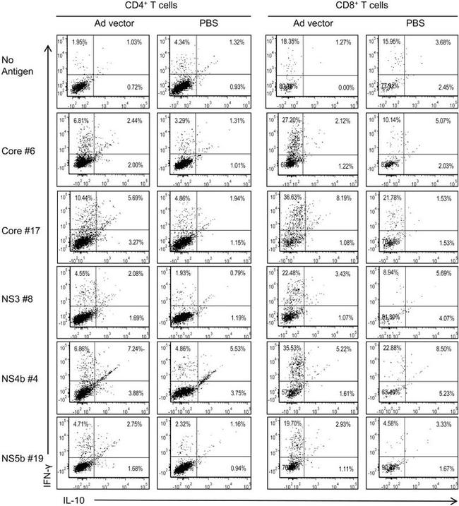 IL-10 Antibody in Flow Cytometry (Flow)