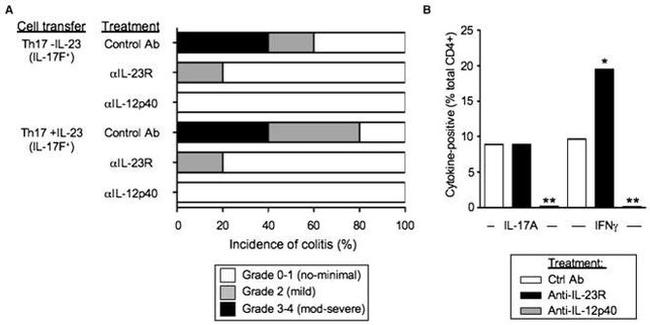 IL-17F Antibody in Flow Cytometry (Flow)