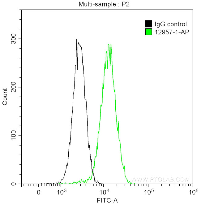 DRP1 (C-terminal) Antibody in Flow Cytometry (Flow)