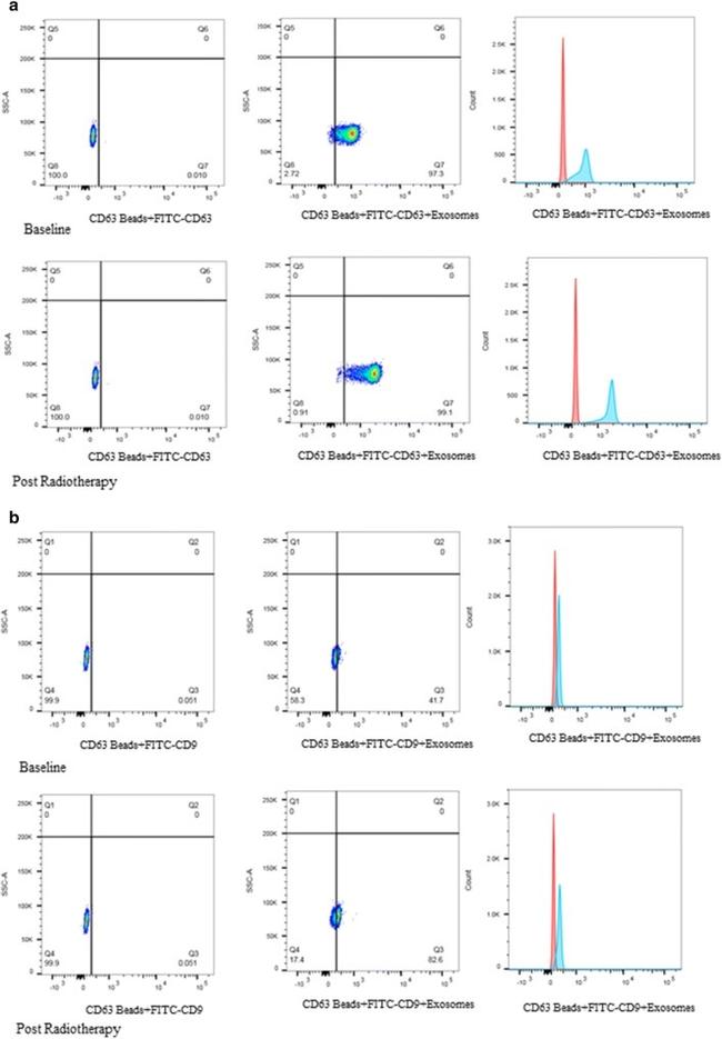 CD9 Antibody in Flow Cytometry (Flow)