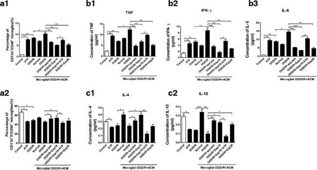 CD206 (MMR) Antibody in Flow Cytometry (Flow)