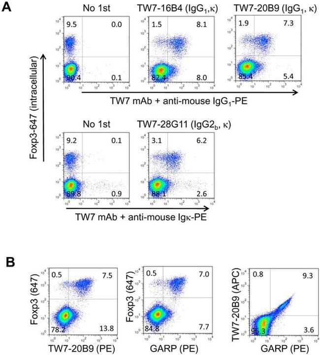 GARP Antibody in Flow Cytometry (Flow)