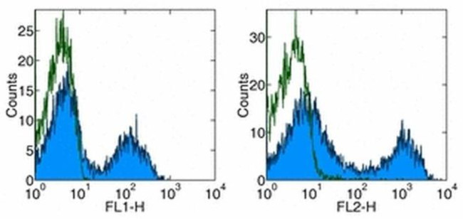 CD5 Antibody in Flow Cytometry (Flow)