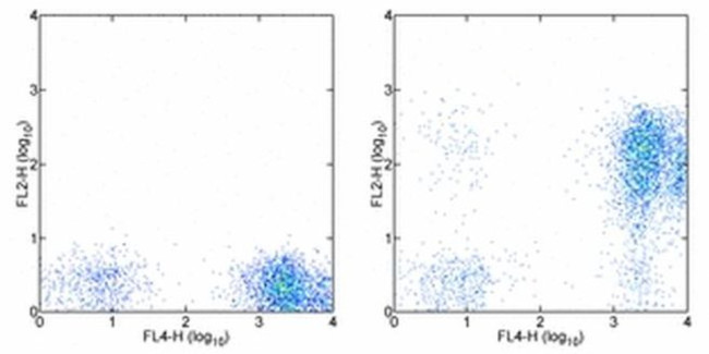 CD7 Antibody in Flow Cytometry (Flow)