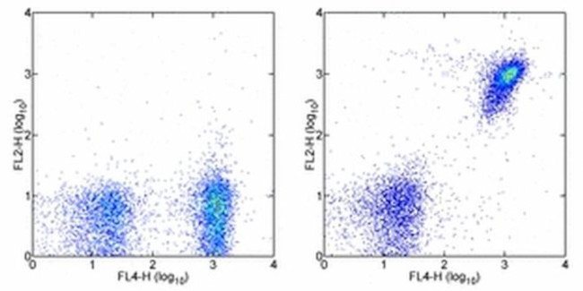 CD19 Antibody in Flow Cytometry (Flow)