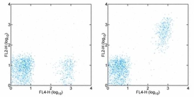 CD20 Antibody in Flow Cytometry (Flow)