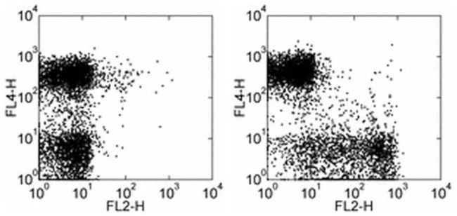 CD27 Antibody in Flow Cytometry (Flow)