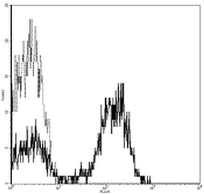 CD28 Antibody in Flow Cytometry (Flow)