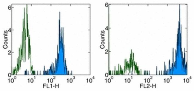 CD31 (PECAM-1) Antibody in Flow Cytometry (Flow)