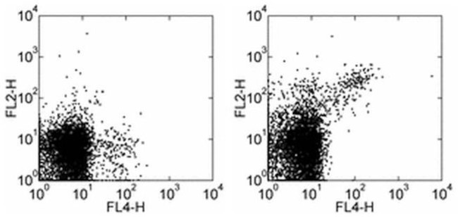 CD122 Antibody in Flow Cytometry (Flow)