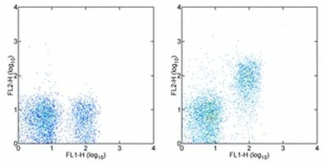 CD127 Antibody in Flow Cytometry (Flow)