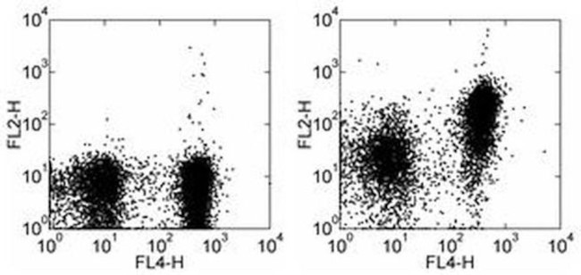 CD150 Antibody in Flow Cytometry (Flow)