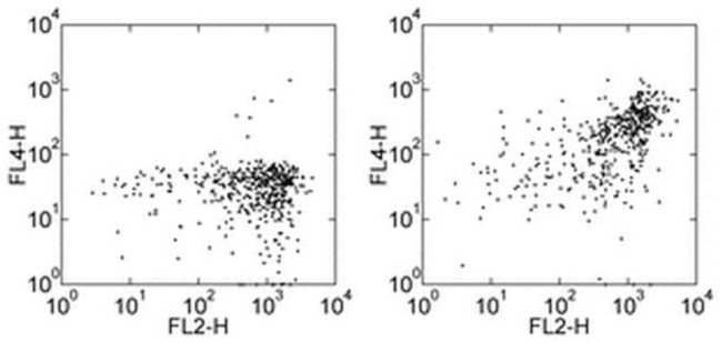 CD163 Antibody in Flow Cytometry (Flow)