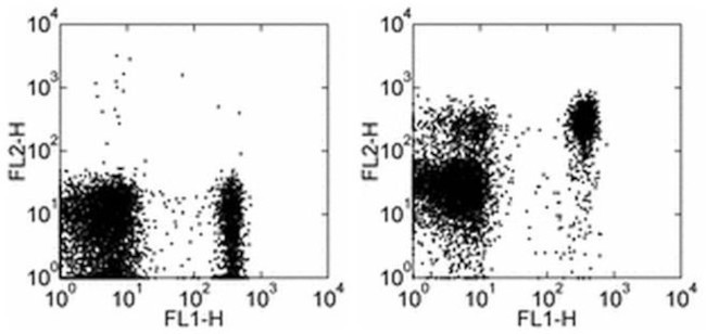 CD197 (CCR7) Antibody in Flow Cytometry (Flow)