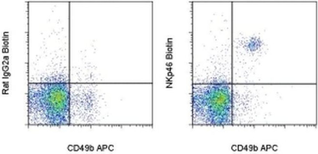 CD335 (NKp46) Antibody in Flow Cytometry (Flow)