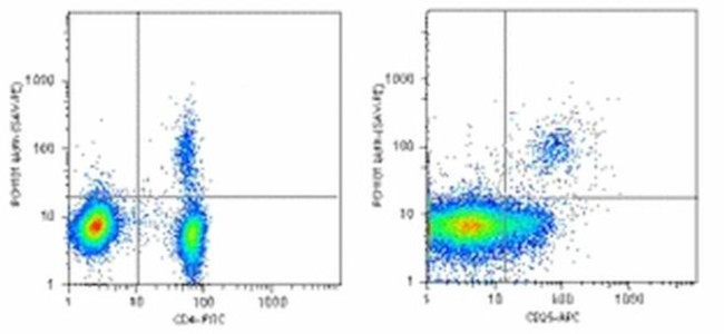 FOXP3 Antibody in Flow Cytometry (Flow)