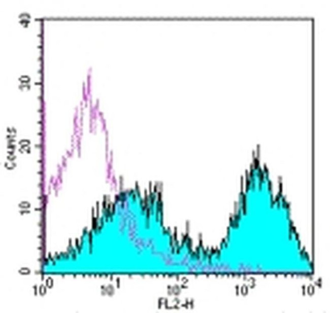 MHC Class II (I-A/I-E) Antibody in Flow Cytometry (Flow)