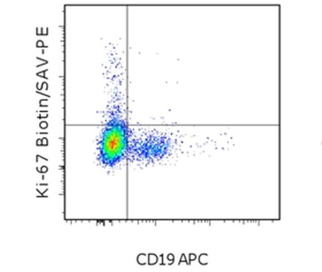 Ki-67 Antibody in Flow Cytometry (Flow)