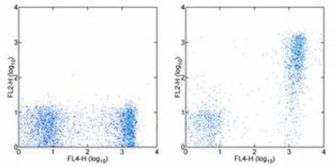 Ea52-68 peptide bound to I-Ab Antibody in Flow Cytometry (Flow)