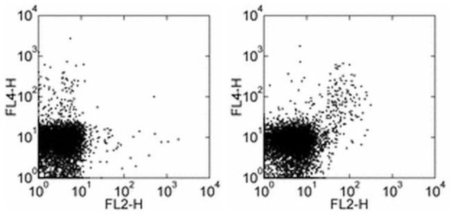 CD357 (AITR/GITR) Antibody in Flow Cytometry (Flow)