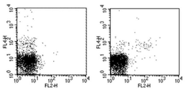 KLRG1 Antibody in Flow Cytometry (Flow)