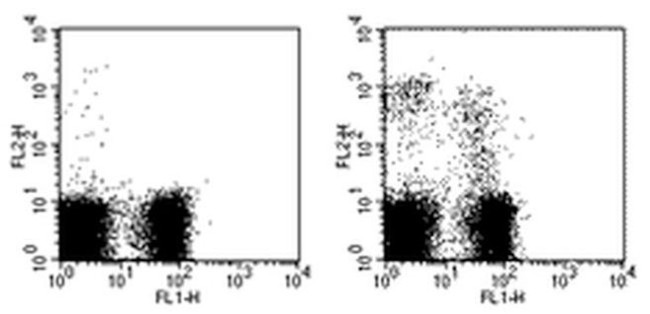 NKG2A/C/E Antibody in Flow Cytometry (Flow)