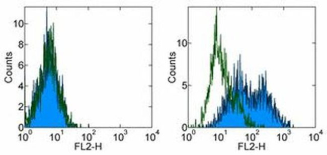 CD276 (B7-H3) Antibody in Flow Cytometry (Flow)