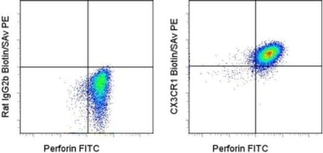 CX3CR1 Antibody in Flow Cytometry (Flow)