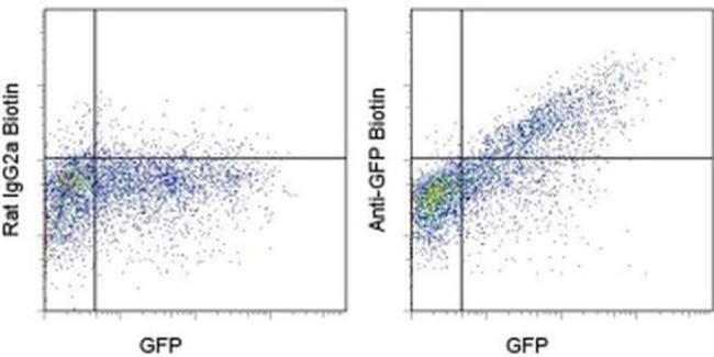 GFP Antibody in Flow Cytometry (Flow)