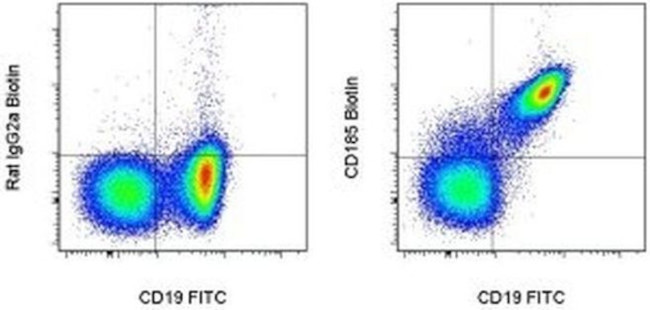 CD185 (CXCR5) Antibody in Flow Cytometry (Flow)