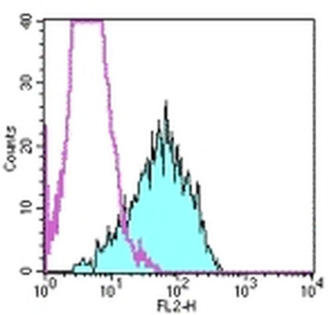 CD338 (ABCG2) Antibody in Flow Cytometry (Flow)