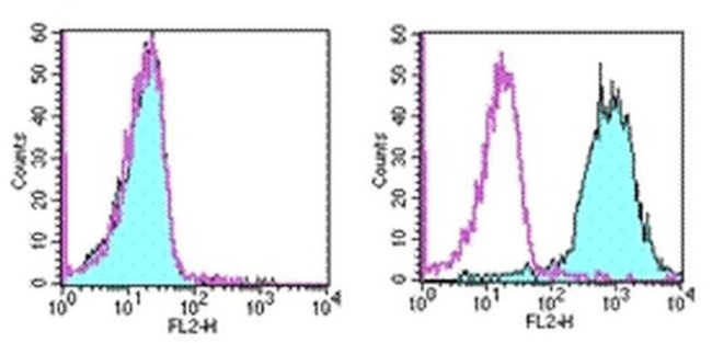 CD266 (TWEAK Receptor) Antibody in Flow Cytometry (Flow)