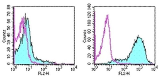 CD278 (ICOS) Antibody in Flow Cytometry (Flow)