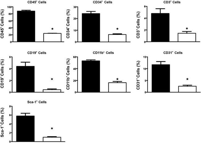 CD45 Antibody in Flow Cytometry (Flow)