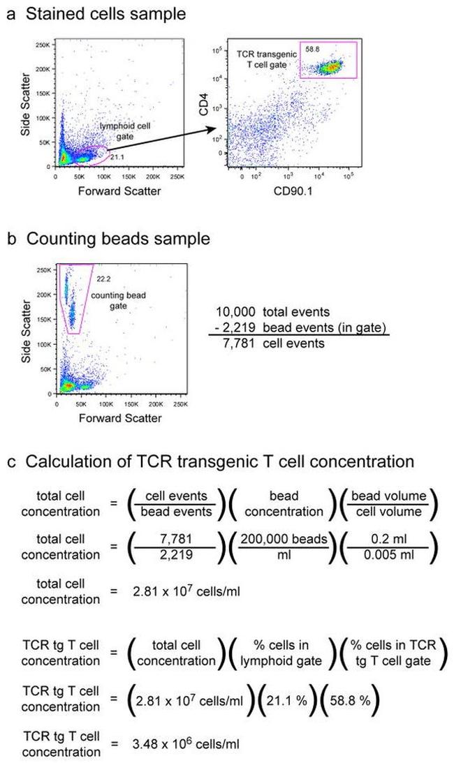 CD90.1 (Thy-1.1) Antibody in Flow Cytometry (Flow)