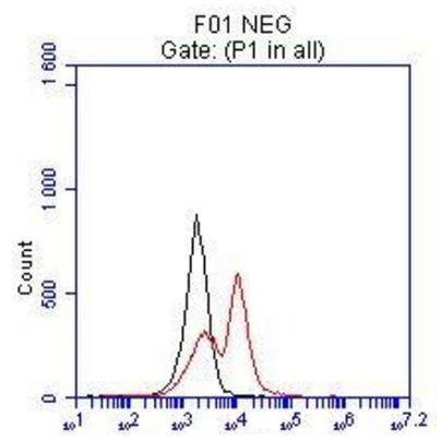 MITF Antibody in Flow Cytometry (Flow)