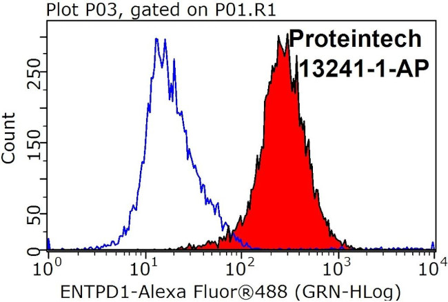 CYP1A1 Antibody in Flow Cytometry (Flow)