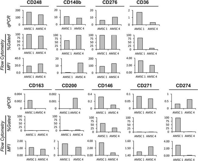 CD276 (B7-H3) Antibody in Flow Cytometry (Flow)