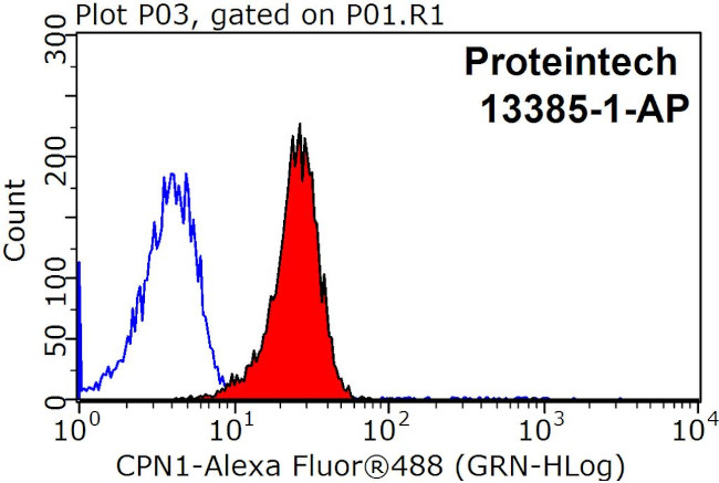 CPN1 Antibody in Flow Cytometry (Flow)